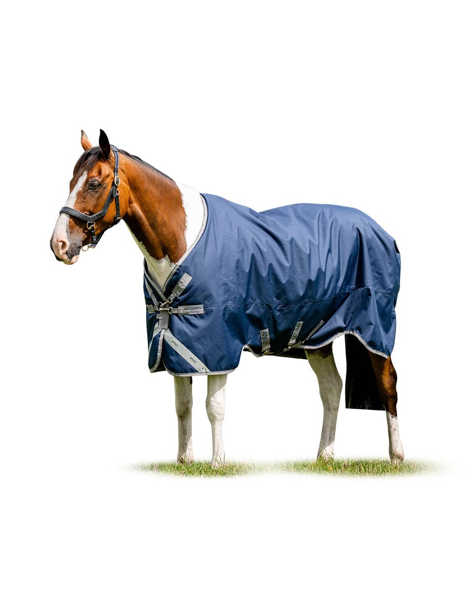 Horseware Ireland Amigo 1200D Turnout 0g Lite - navy/titanium grey & silver