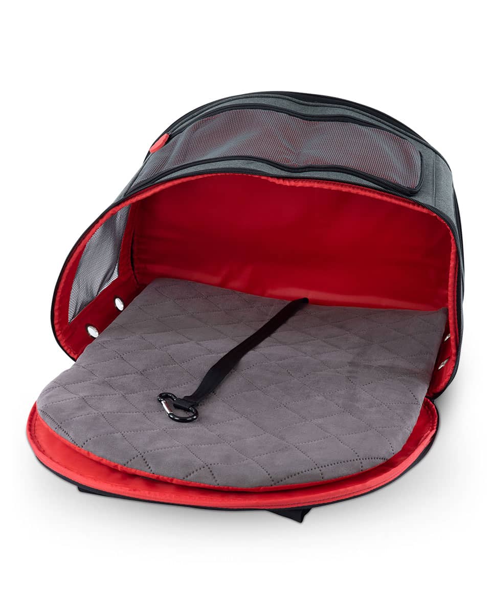 2-in-1 Pet Carrier & Mat from Kong