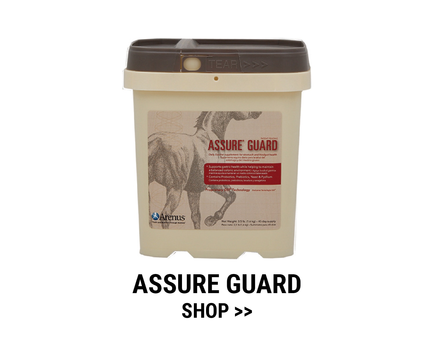 Assure Guard by Arenus