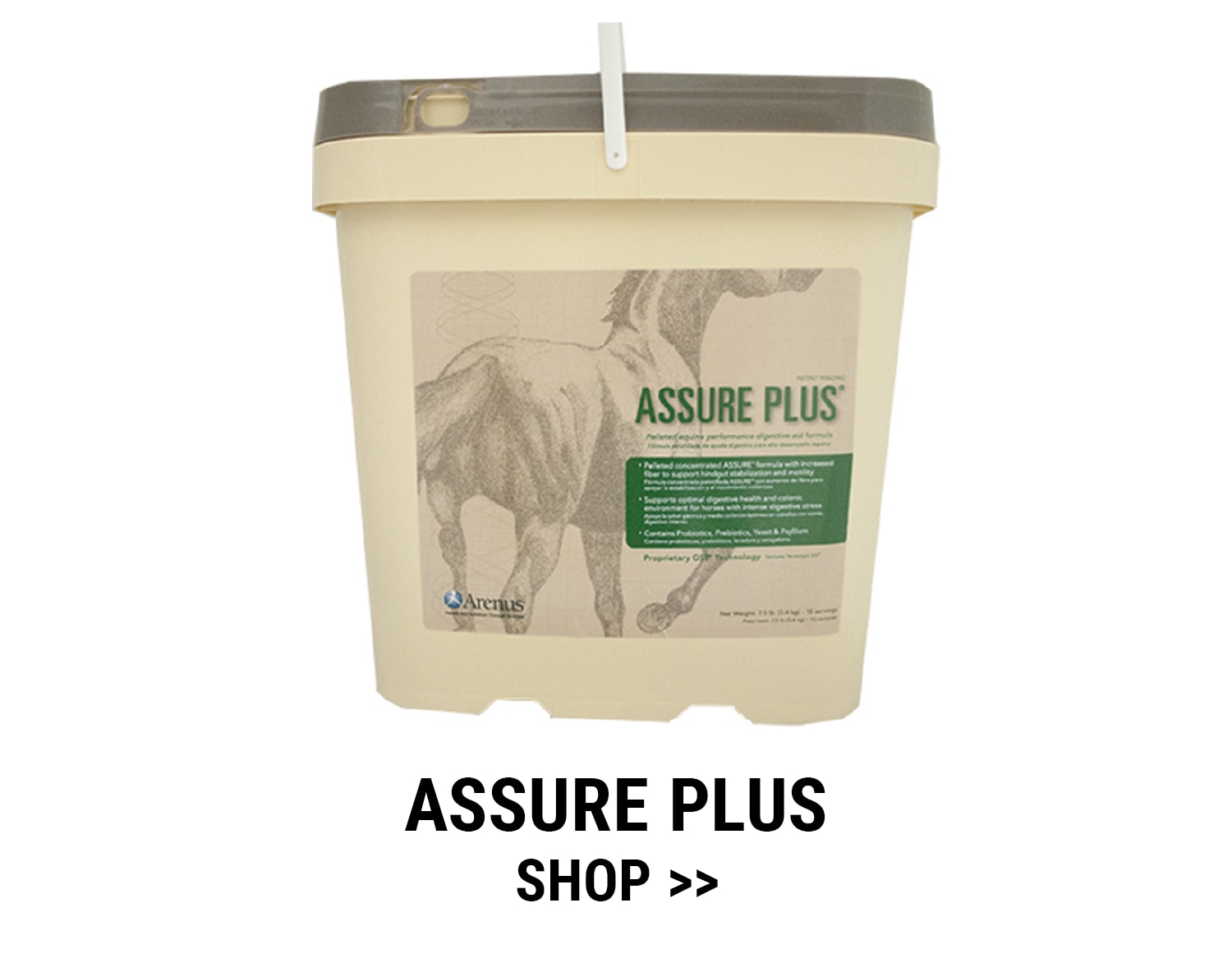 Assure Guard Plus by Arenus