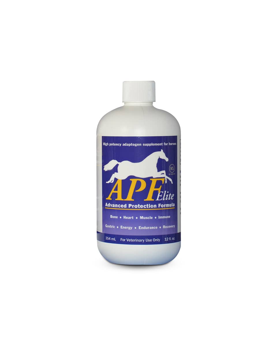 APF Elite performance horse supplement from Auburn Labs