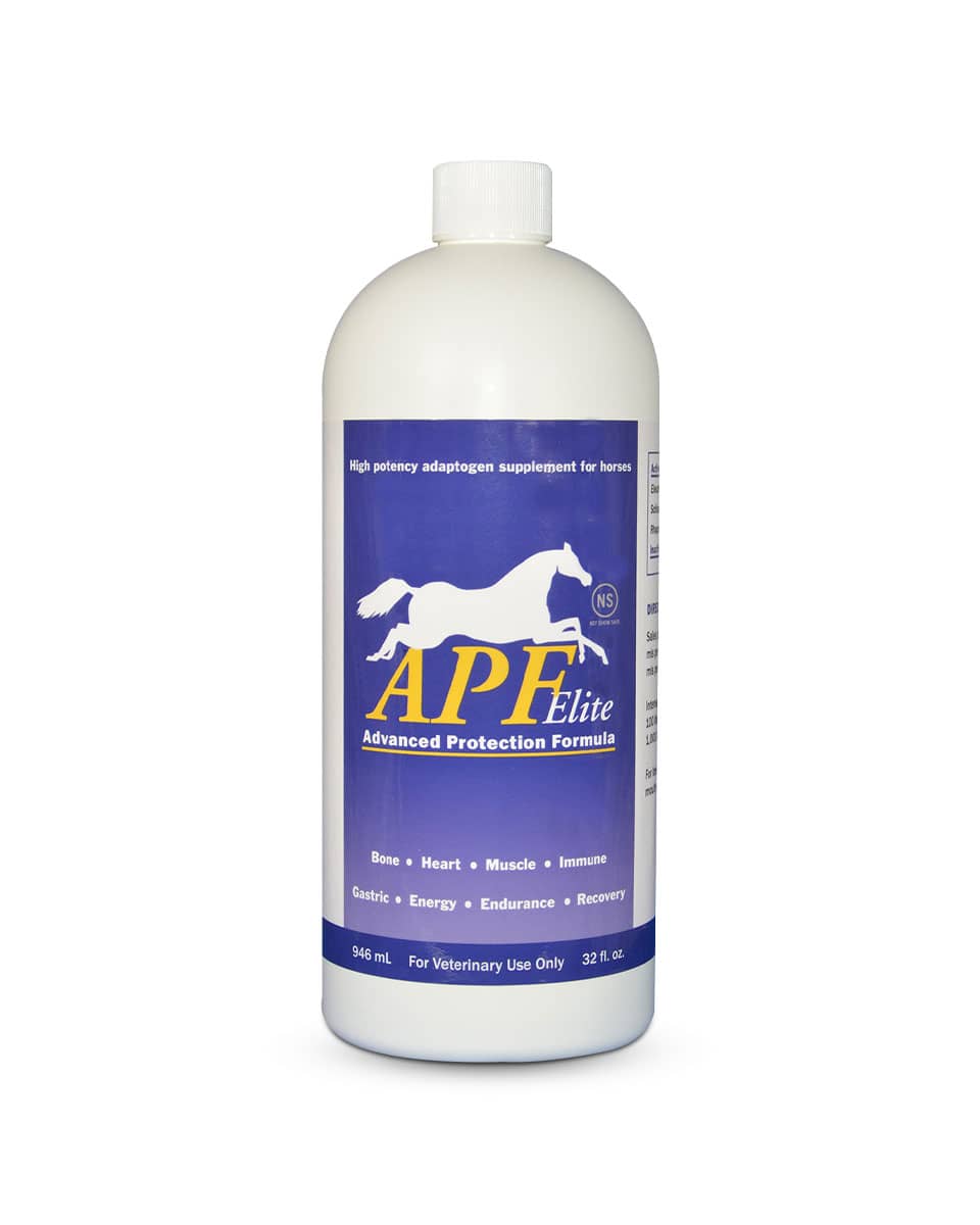 APF Elite performance horse supplement from Auburn Labs