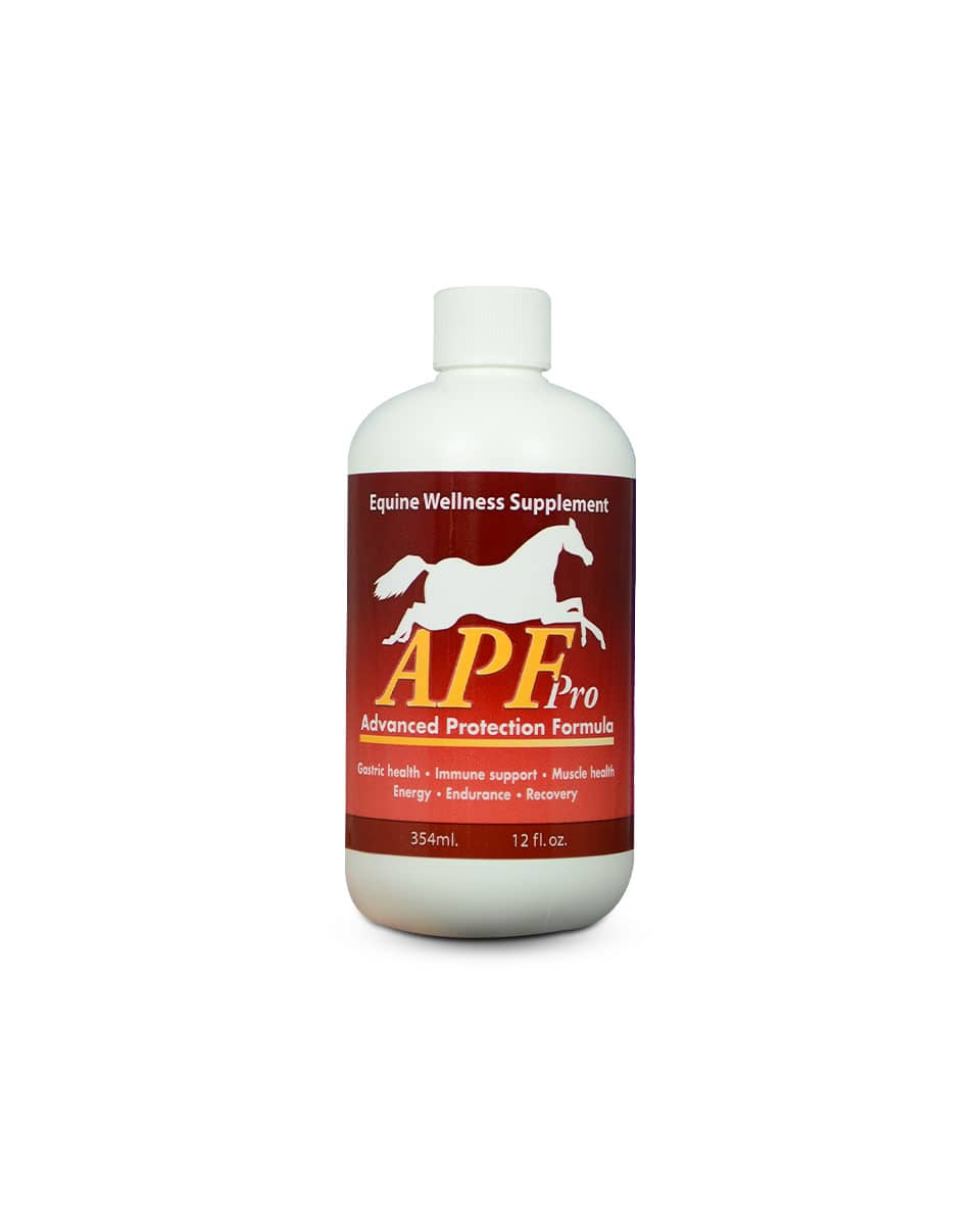 APF Pro Wellness performance horse supplement from Auburn Labs