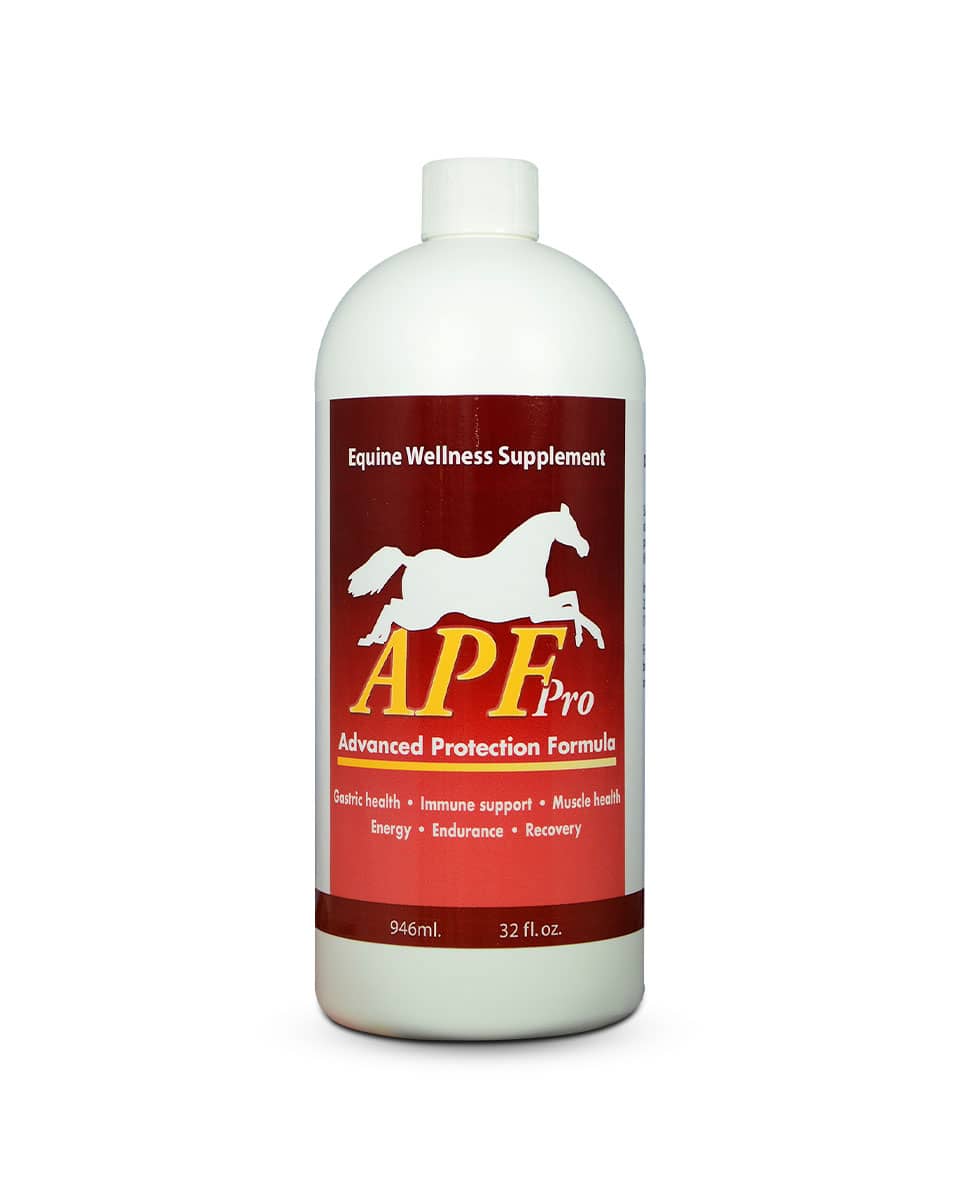 APF Pro Wellness performance horse supplement from Auburn Labs