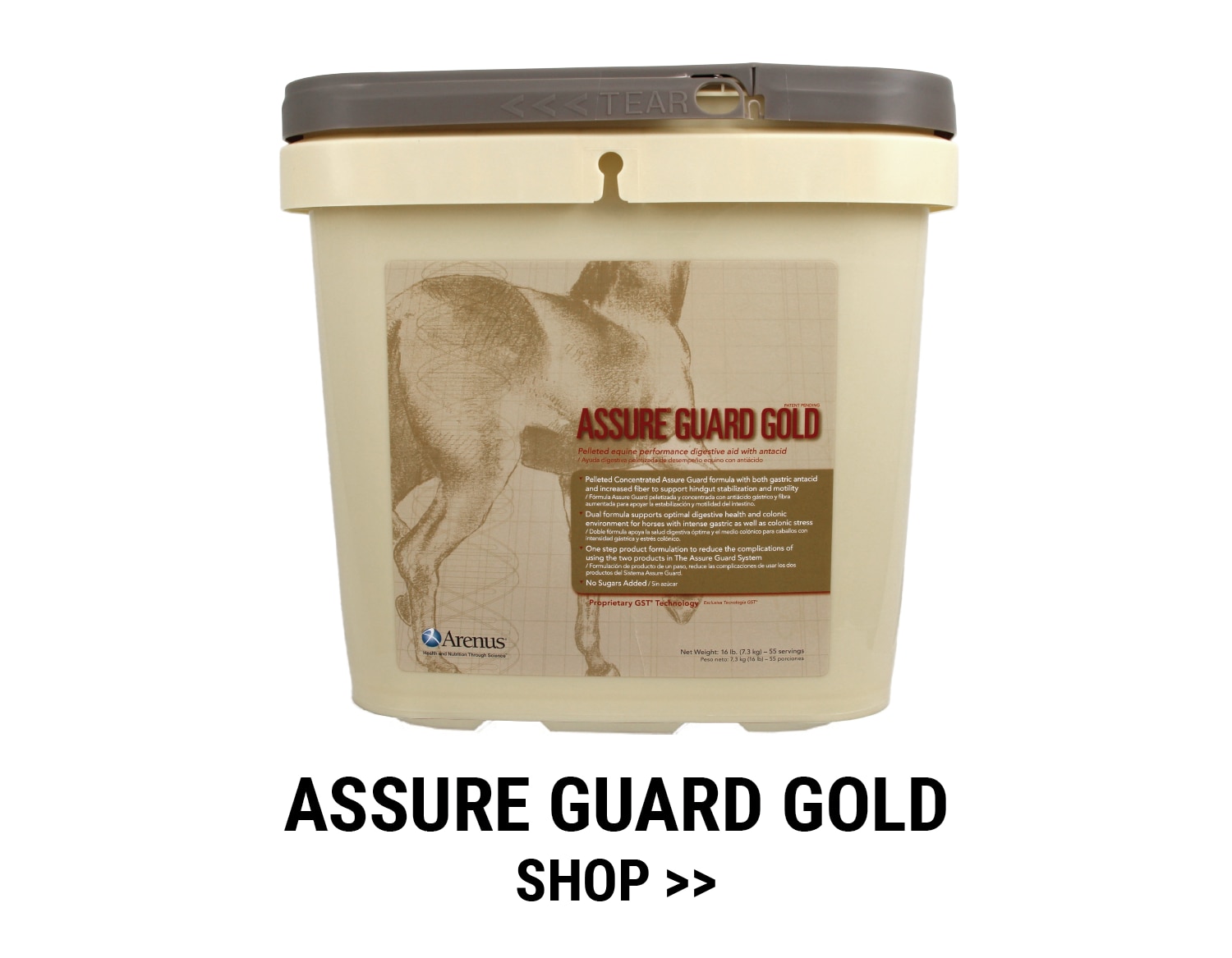 Assure Guard Gold by Arenus