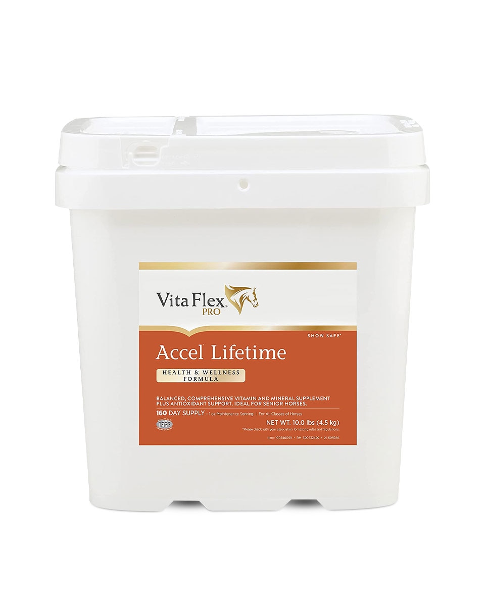 Accel Lifetime Equine Supplement by Vita-Flex