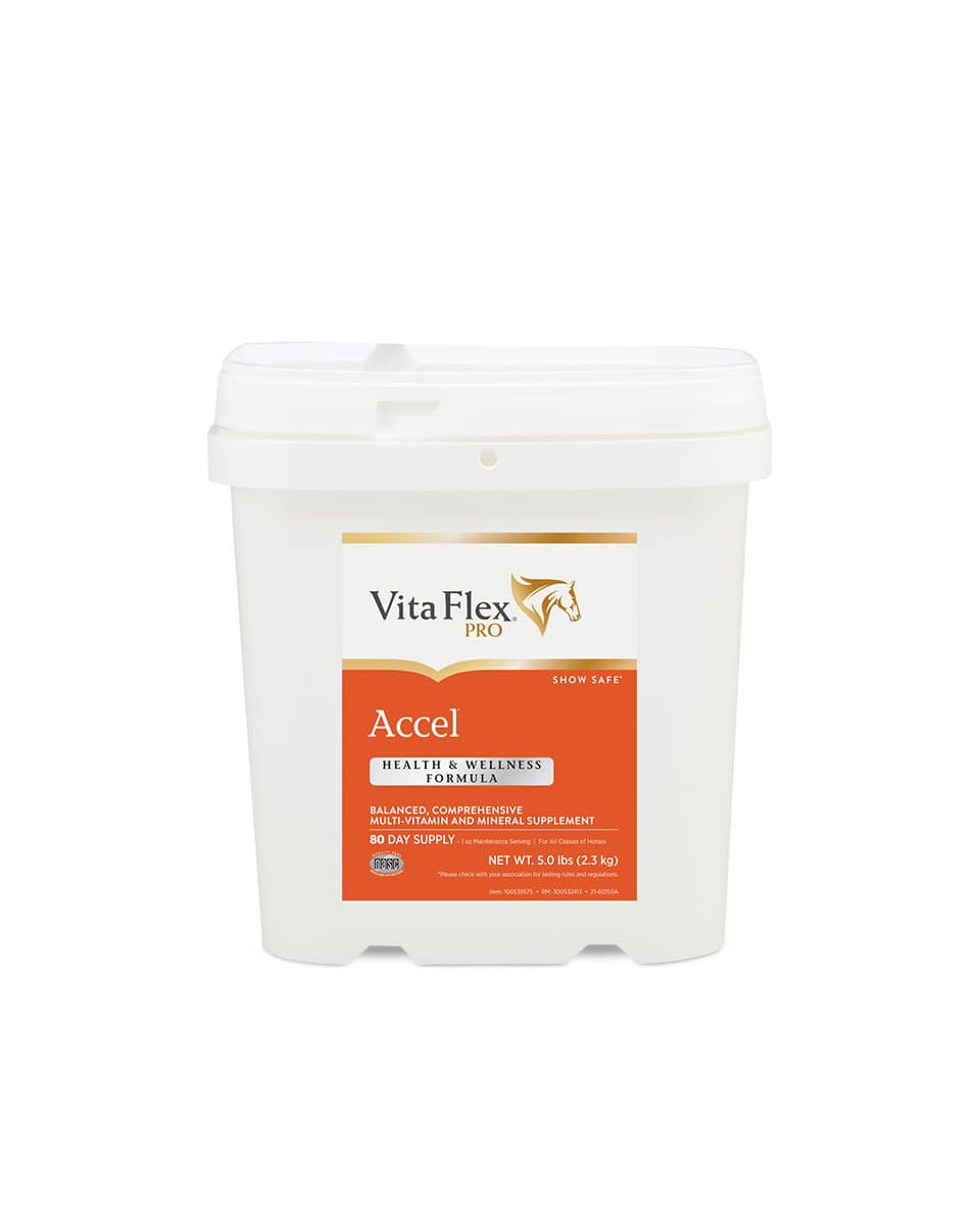 Accel vitamin and mineral supplement for horses from Vita-Flex