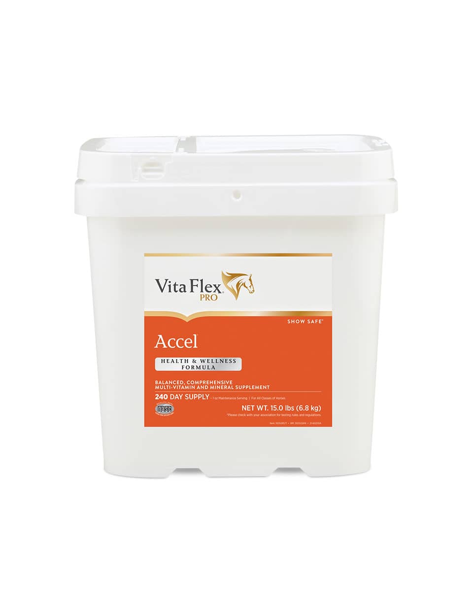 Accel vitamin and mineral supplement for horses from Vita-Flex