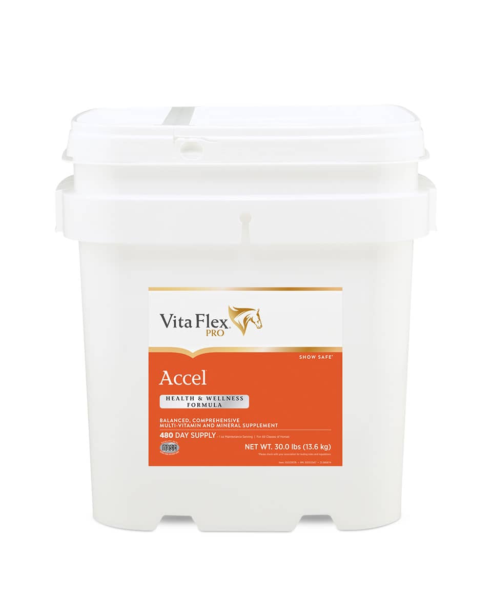 Accel vitamin and mineral supplement for horses from Vita-Flex