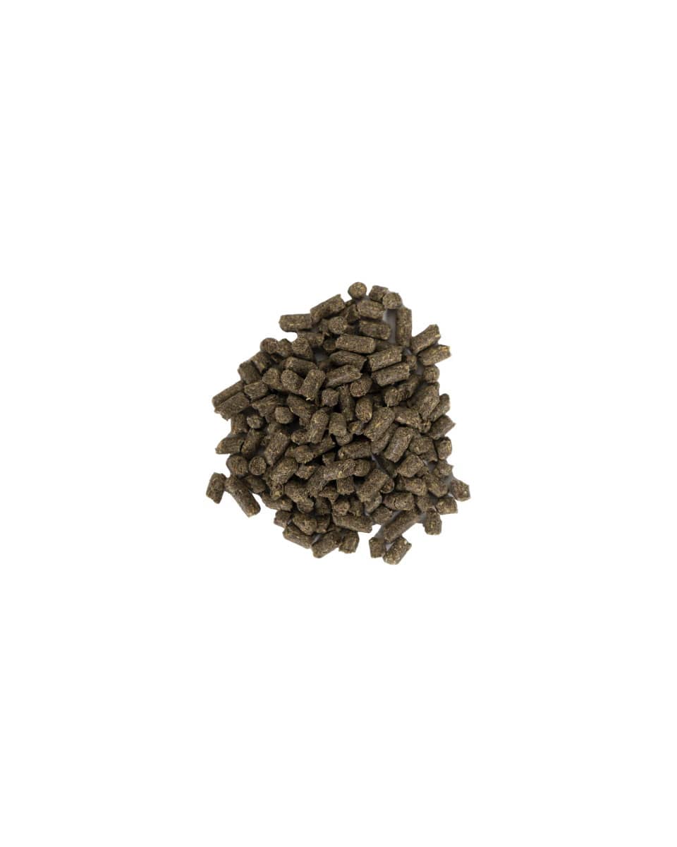 Manna Pro AccuBites Radiance coat and hoof supplement for horses