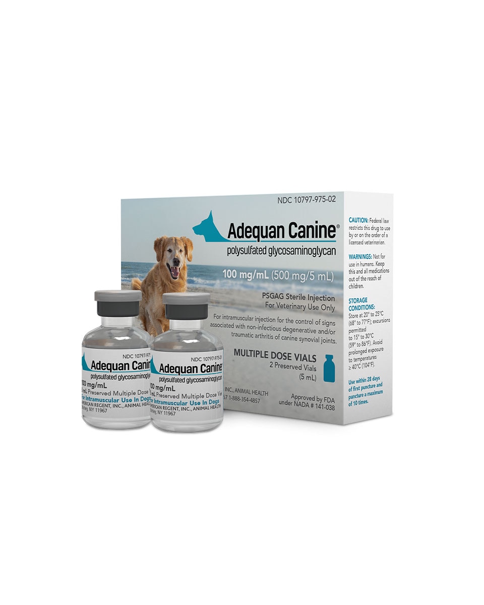 Adequan Canine (polysulfated glycosaminoglycan) American Regent