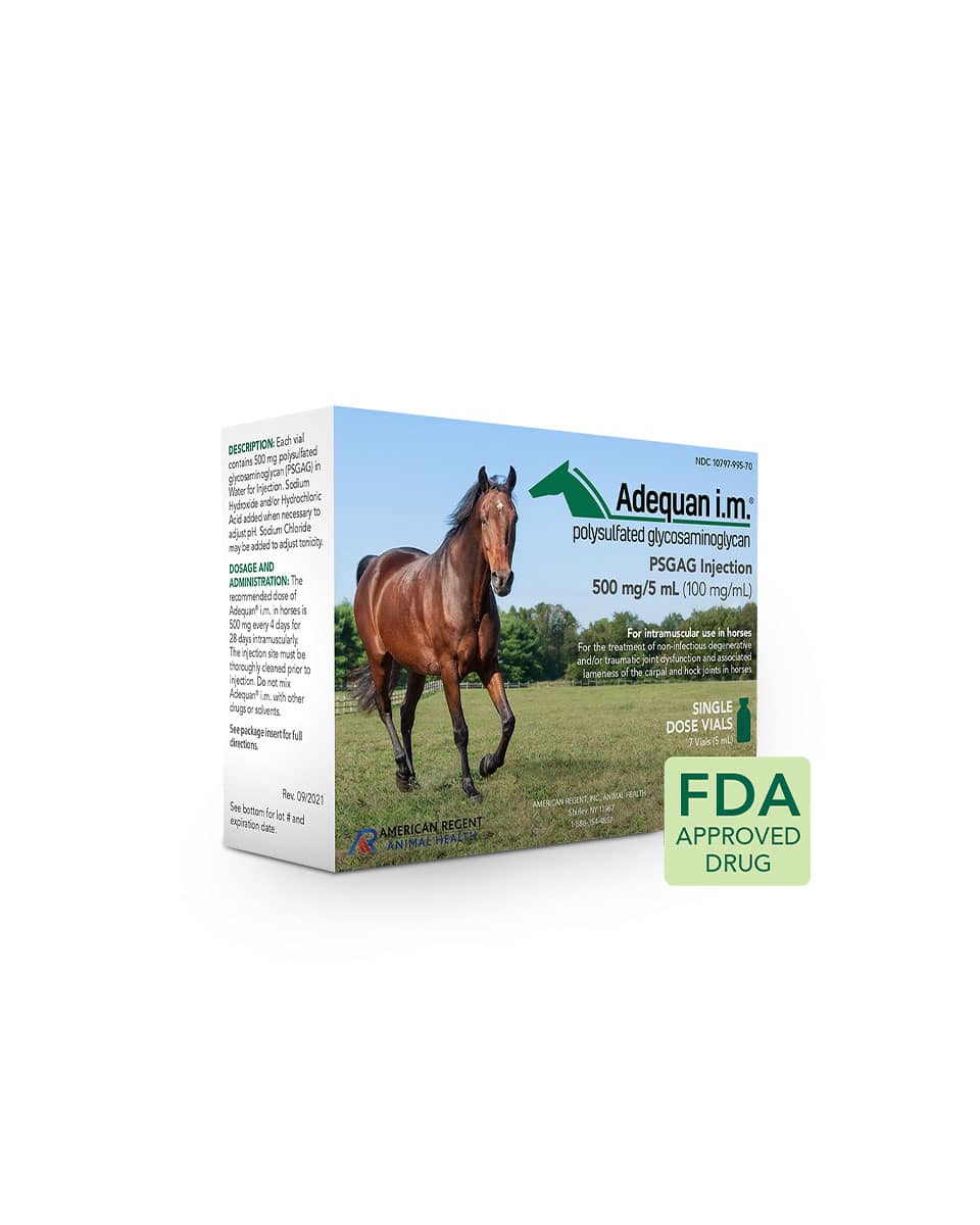 Adequan® I.M. single dose for horses (polysulfated glycosaminoglycan)