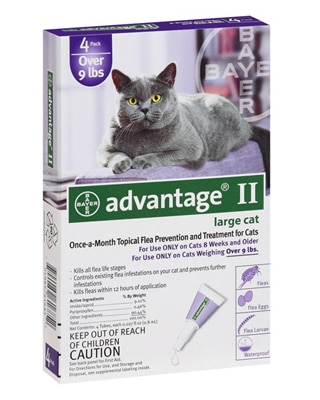 Advantage for Cats