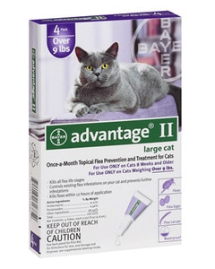 Advantage for Cats