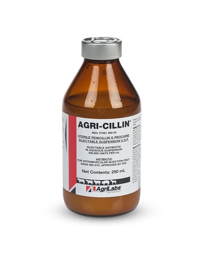 Agri-Cillin Penicillin G injection for horses