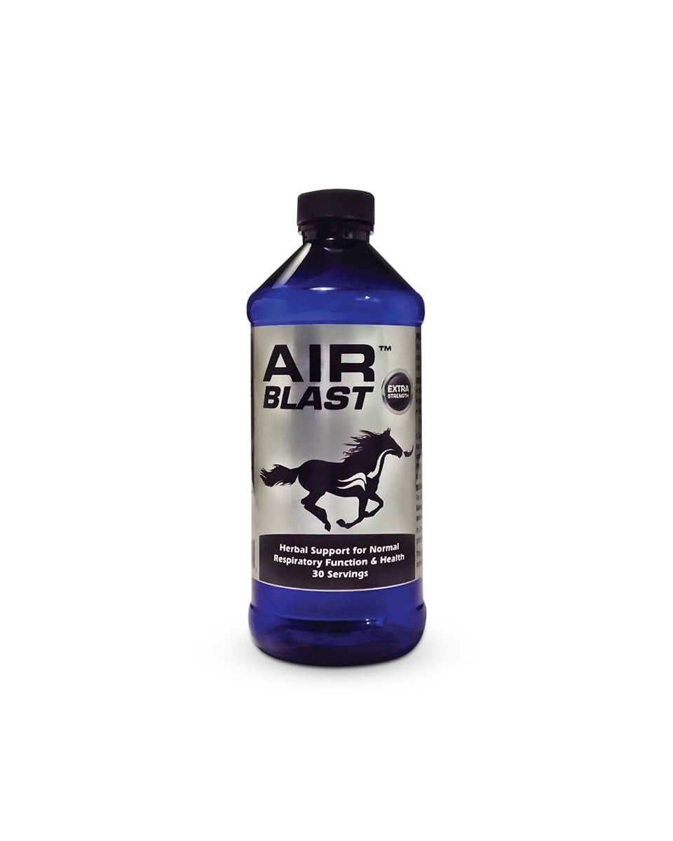 Air Blast herbal respiratory supplement for horses by Equiade - 16 oz