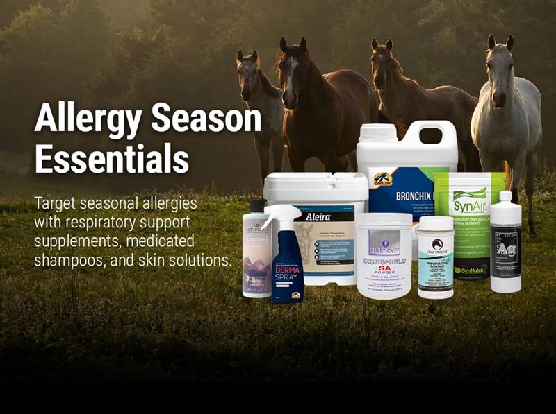 Respiratory and Allergy supplements for horses at FarmVet.com.