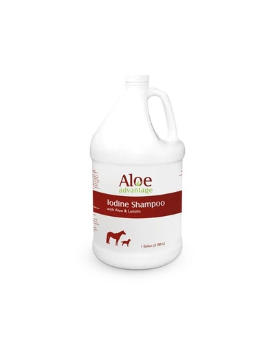 Aloe Advantage Iodine Shampoo by Durvet