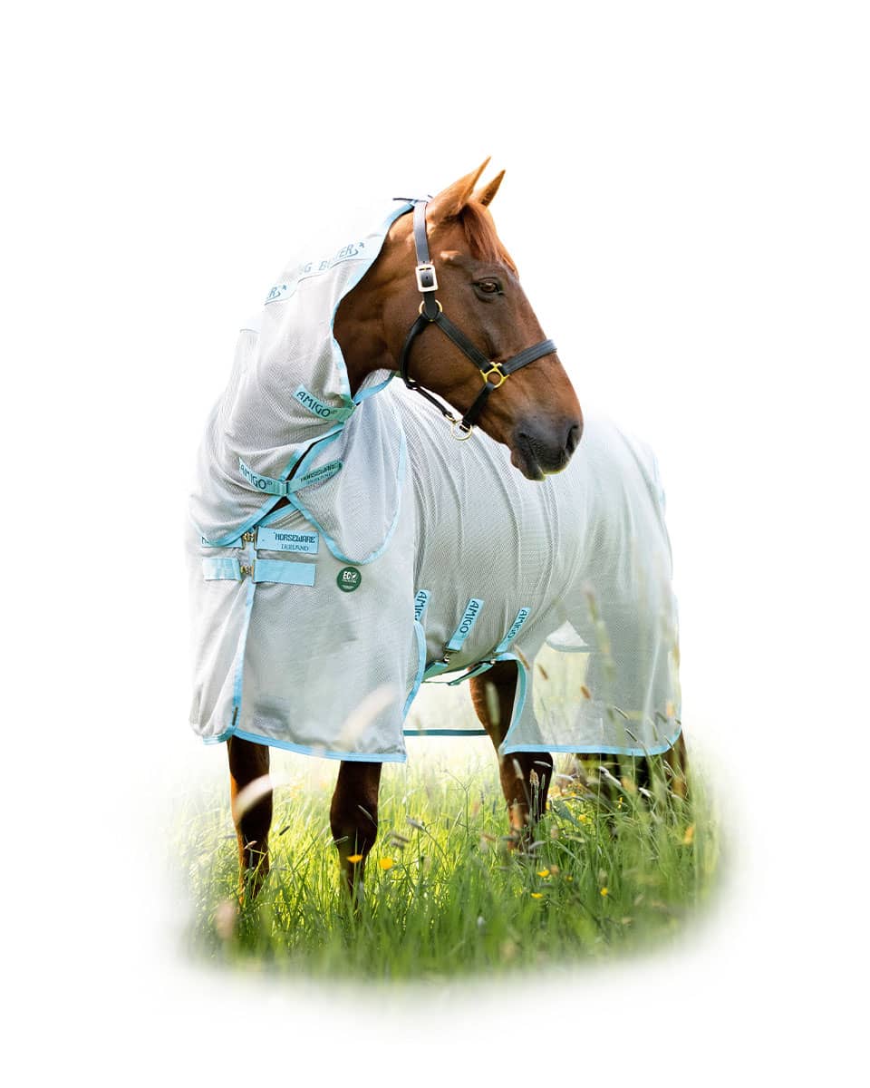 Amigo AmECO Bug Buster Fly Sheet from Horseware Ireland