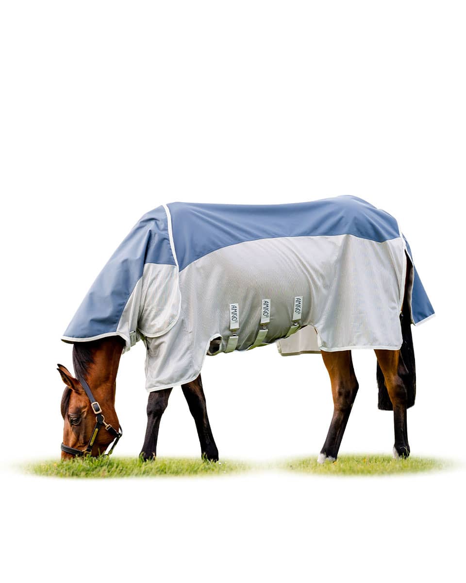 Amigo AmECO Combi Sheet fly sheet from Horseware Ireland