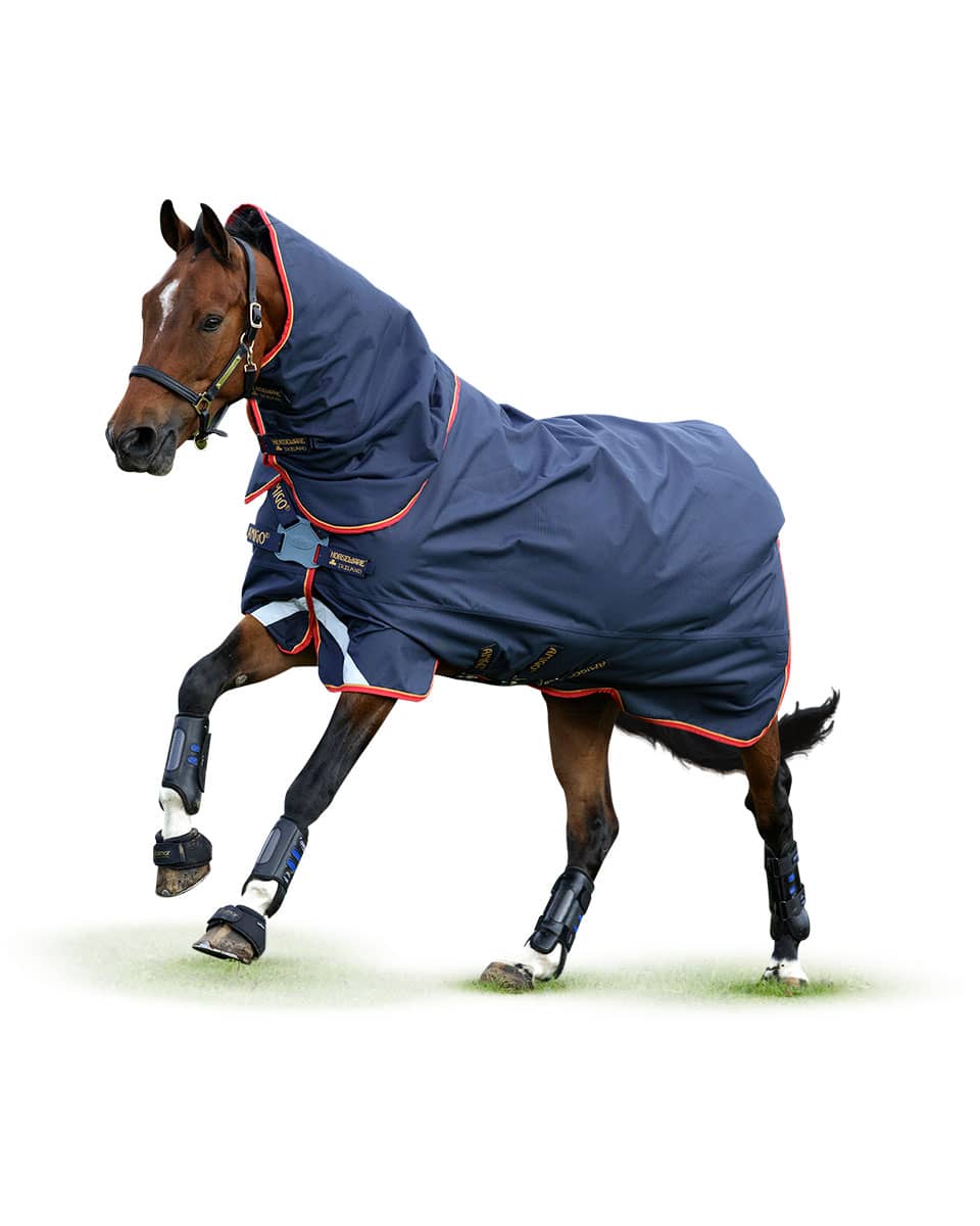 Horseware Ireland Amigo Bravo 12 Plus 100g Lite Turnout with disc closure