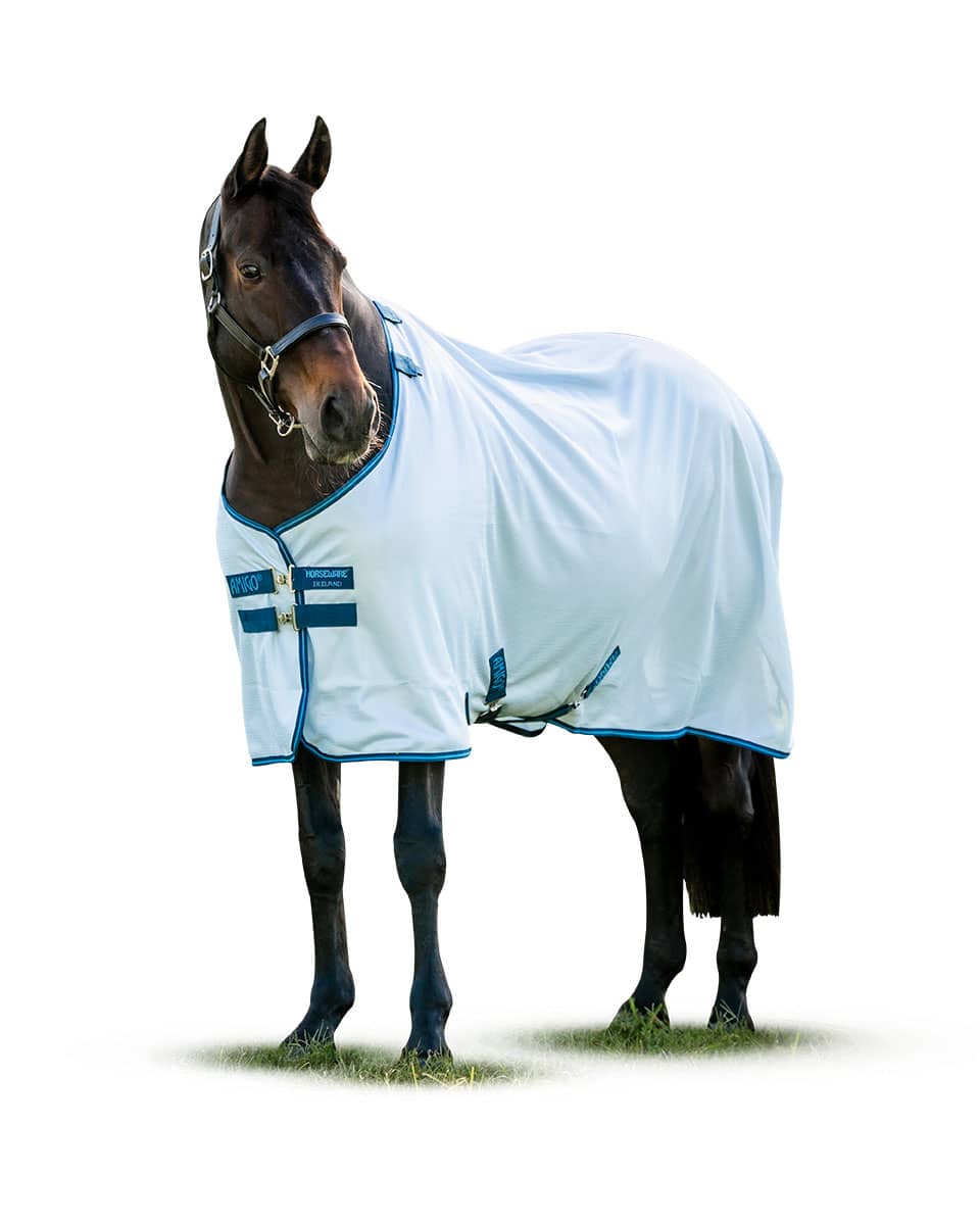 Amigo Bug Rug fly sheet from Horseware Ireland