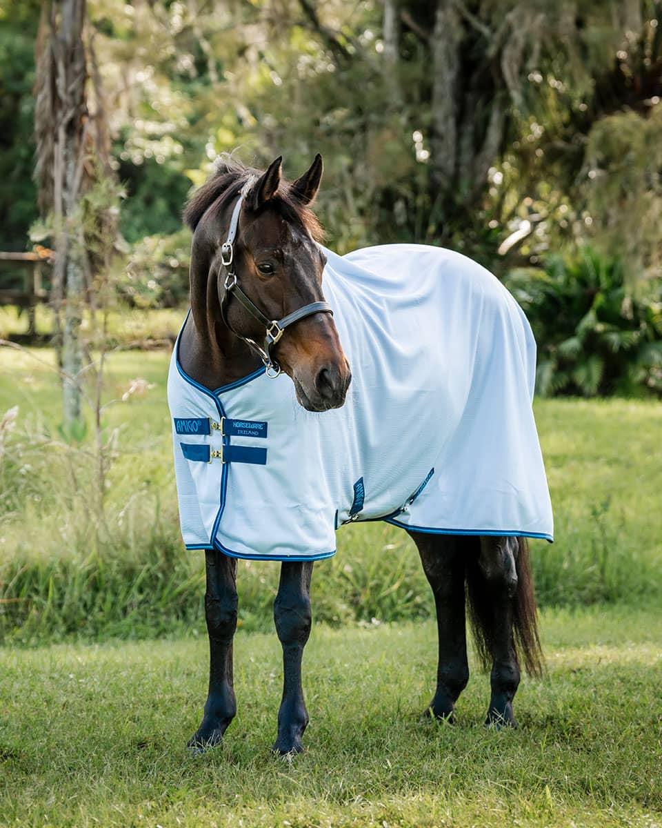 Amigo Bug Rug fly sheet from Horseware Ireland