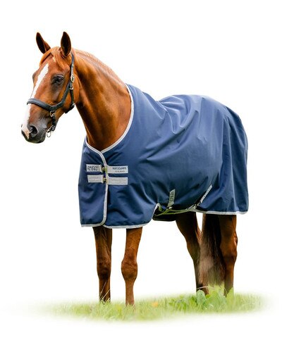 Amigo Ripstop 900 Turnout 200g Medium from Horseware Ireland