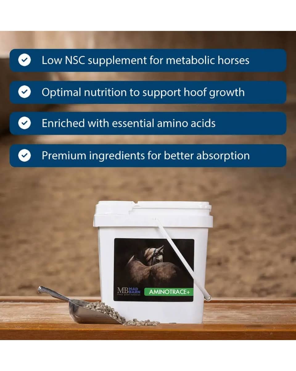 Mad Barn AminoTrace+ metabolic support for horses