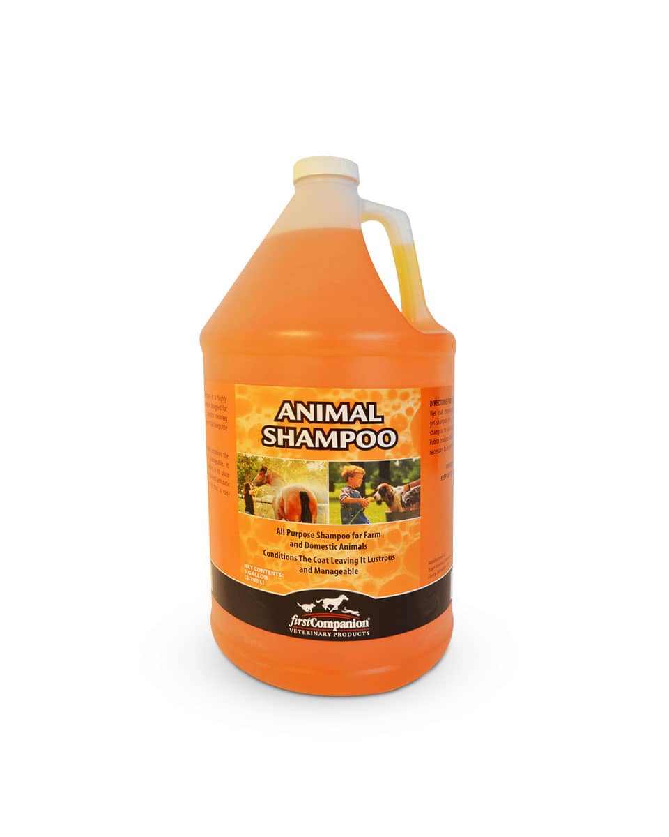 First Companion Animal Shampoo for pets and horses