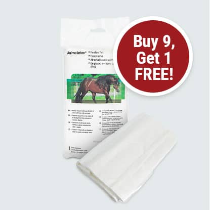 Animalintex Poultice on Sale at FarmVet.