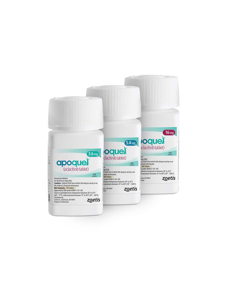 Apoquel (Oclacitinib) 100 Tablets for dog allergies