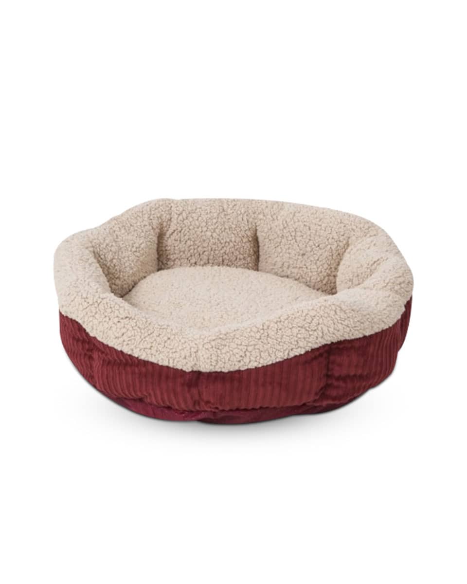 Aspen Pet Self-Warming Oval Lounger Pet Bed