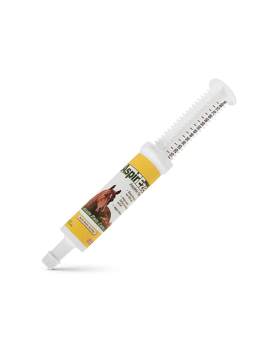 AspirEze Aspirin Gel for Horses from Durvet