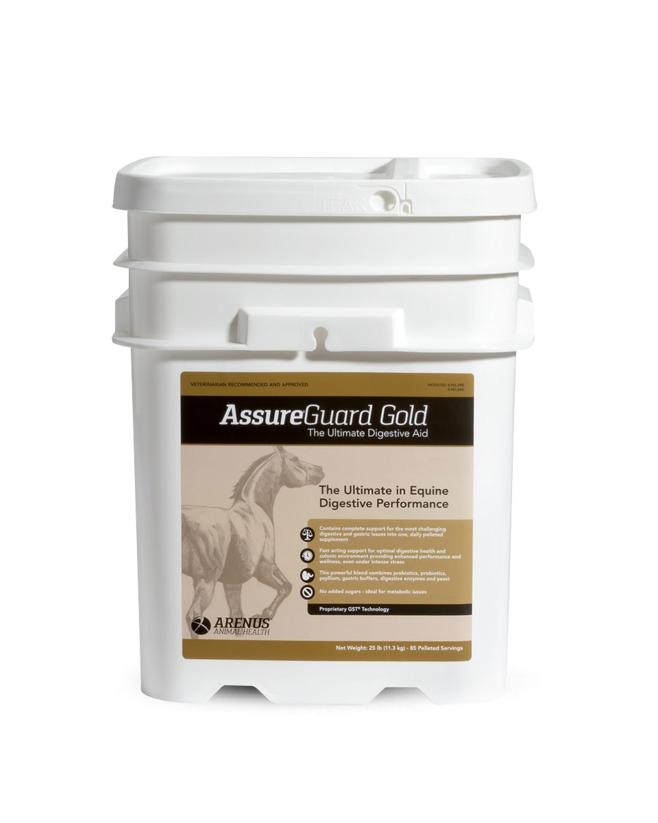 Assure Guard Gold equine digestive supplement by Arenus