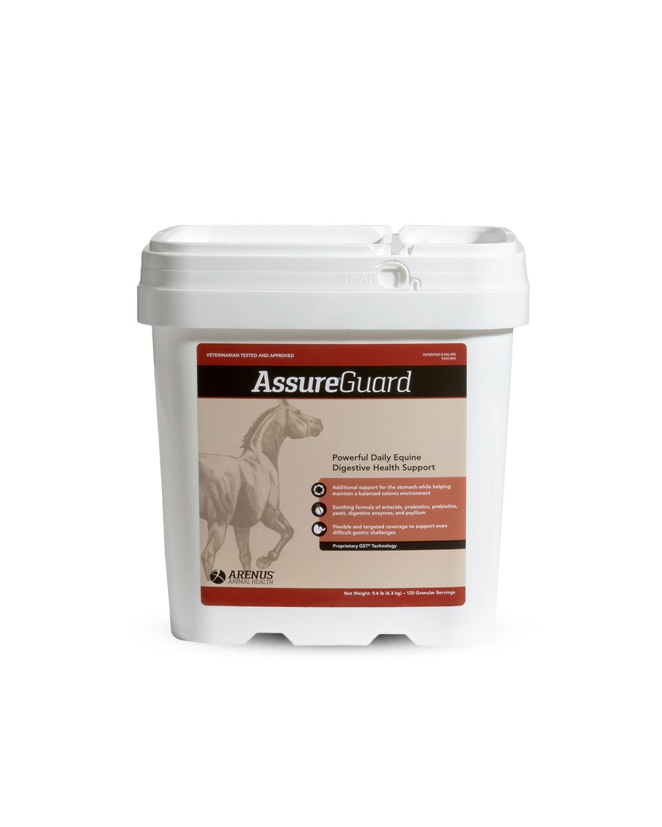 Assure Guard equine digestive supplement by Arenus