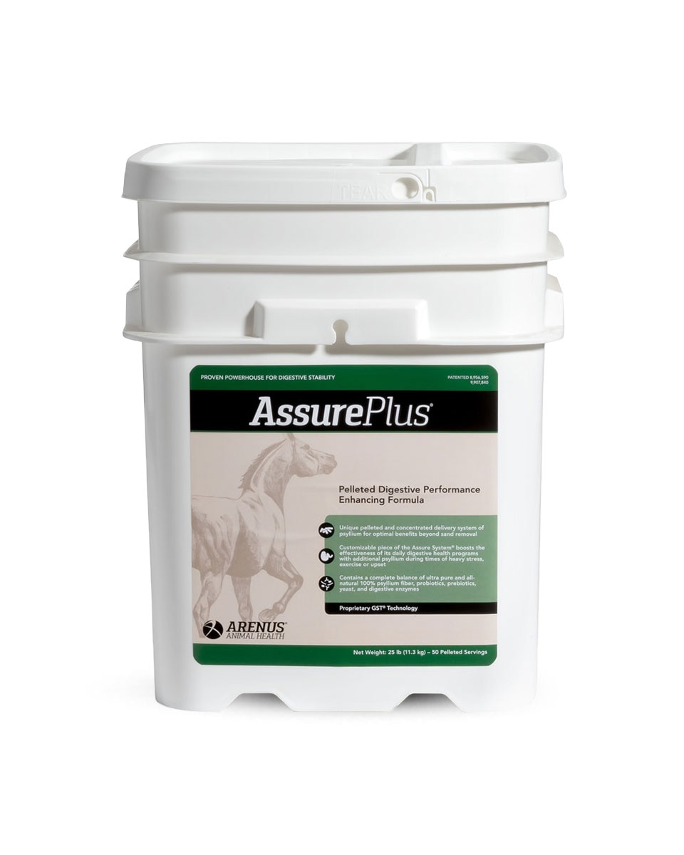 Arenus Assure Plus digestive horse supplement