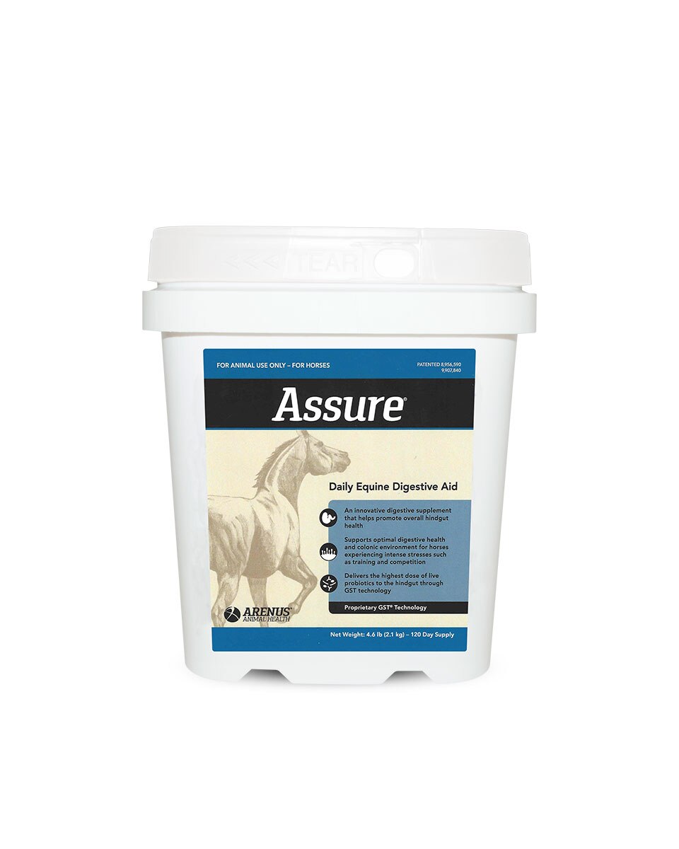 Assure digestive supplement for horses by Arenus