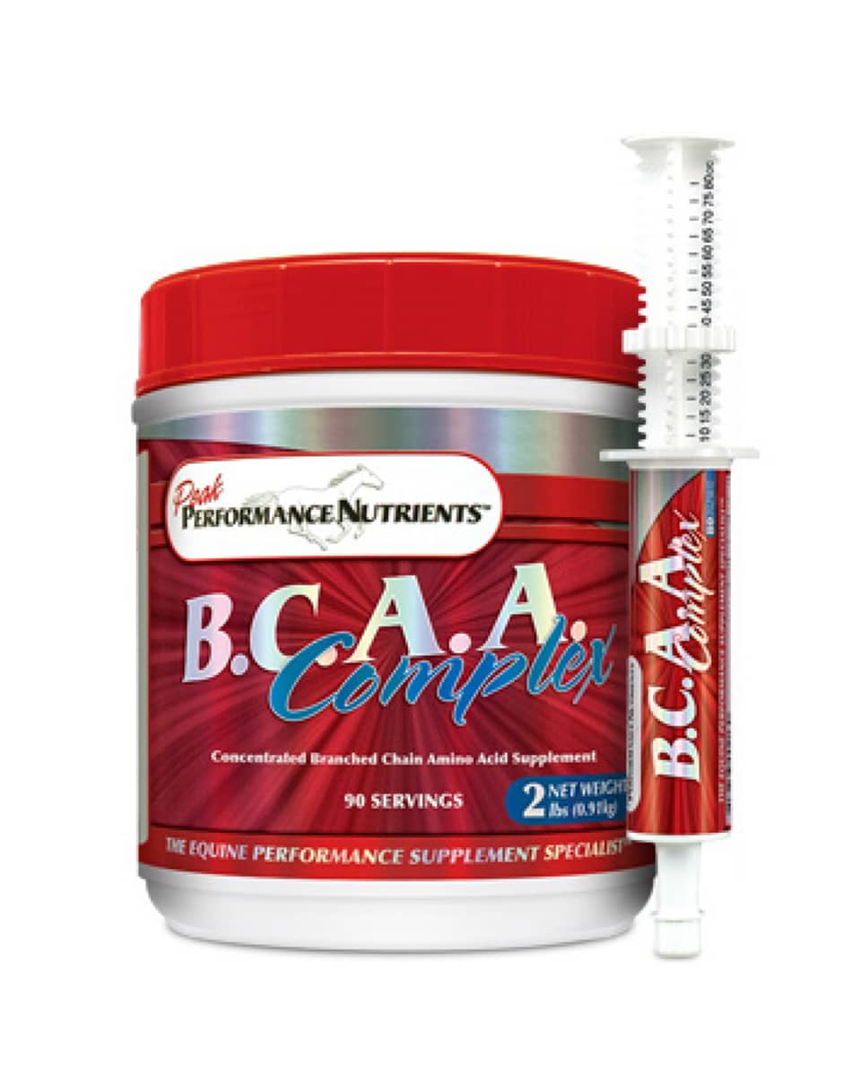 BCAA Complex horse supplement