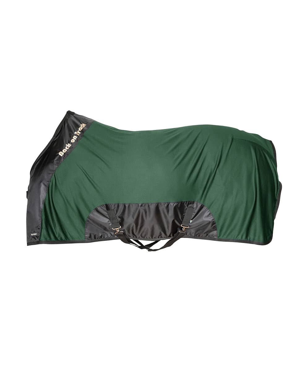 Back on Track Royal Mesh Sheet Deluxe in Green