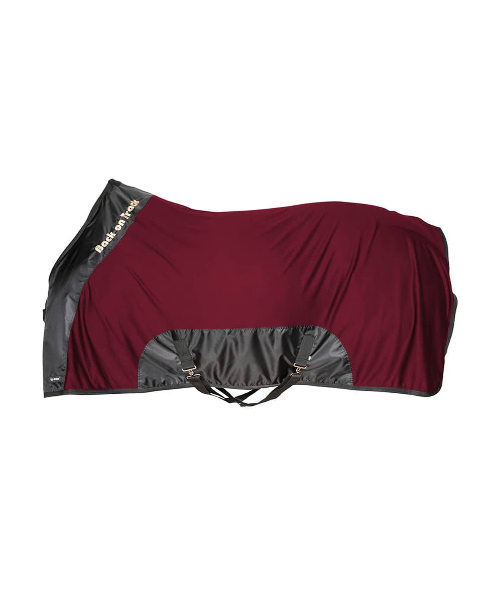 Back on Track Royal Mesh Sheet Deluxe in Wine