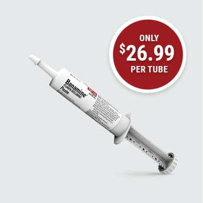 Banamine for horses on sale at FarmVet.