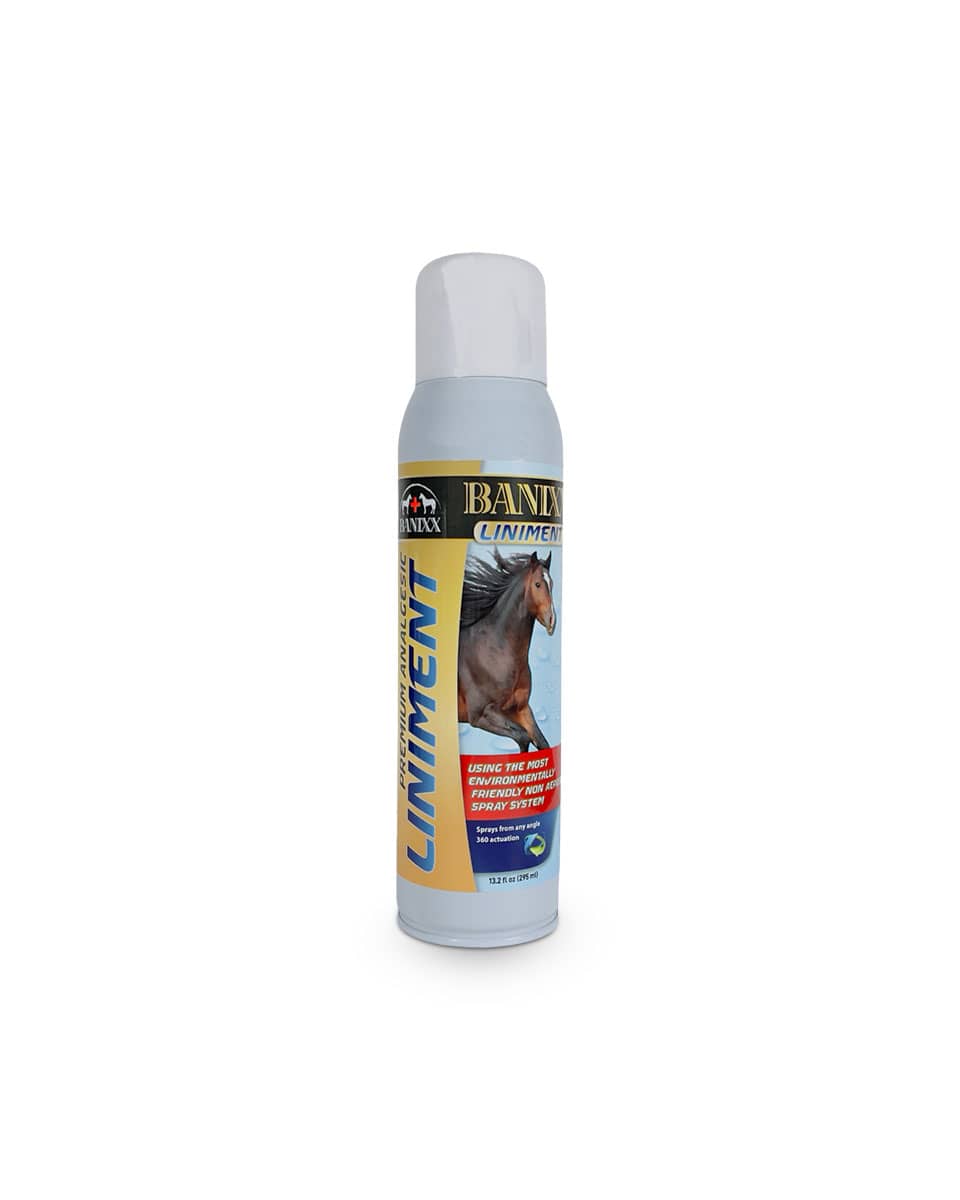 Banixx Premium Analgesic Liniment