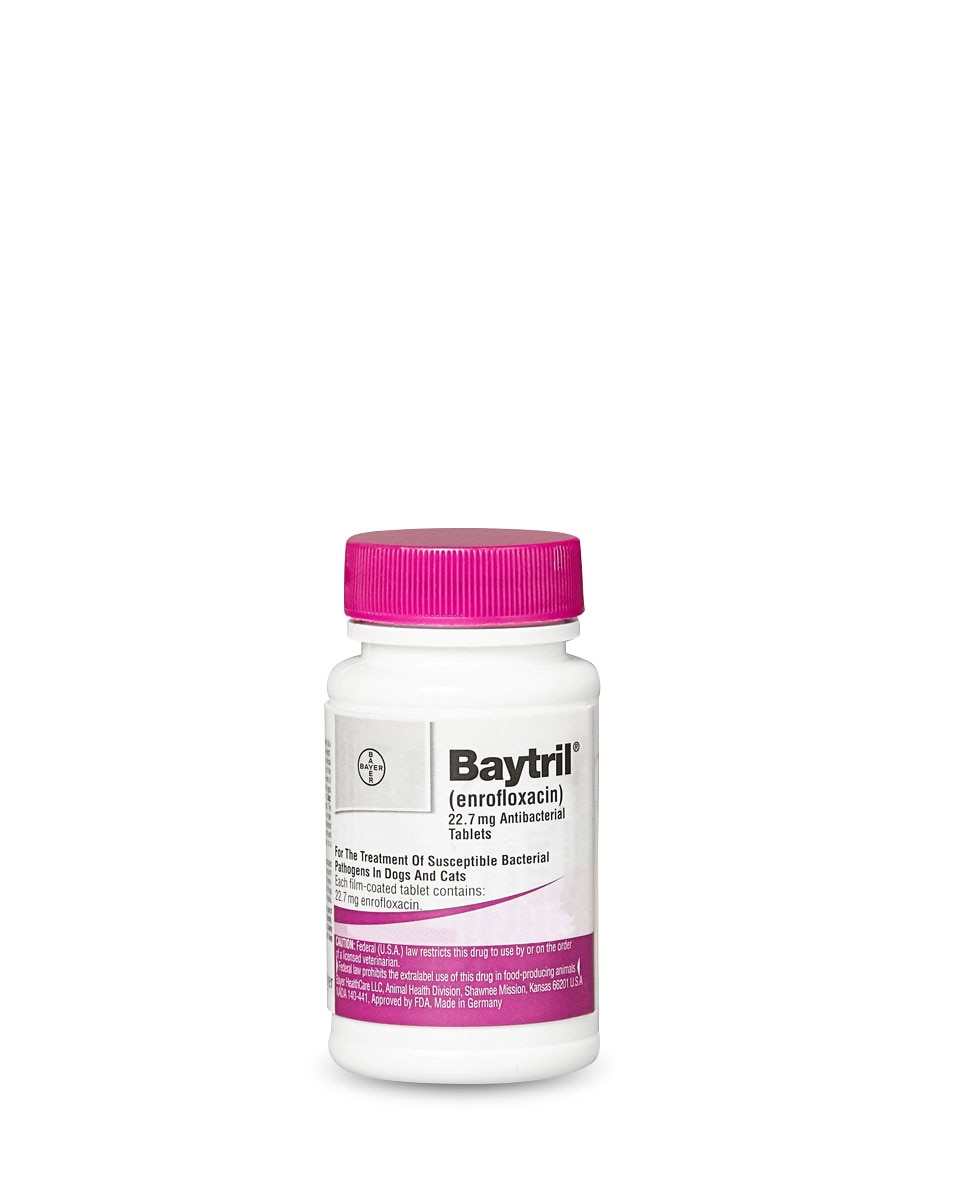 Baytril Taste Tablets