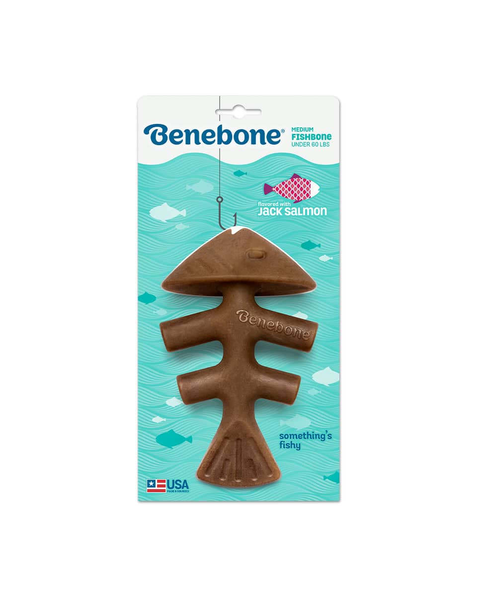 Benebone Fishbone durable dog toy