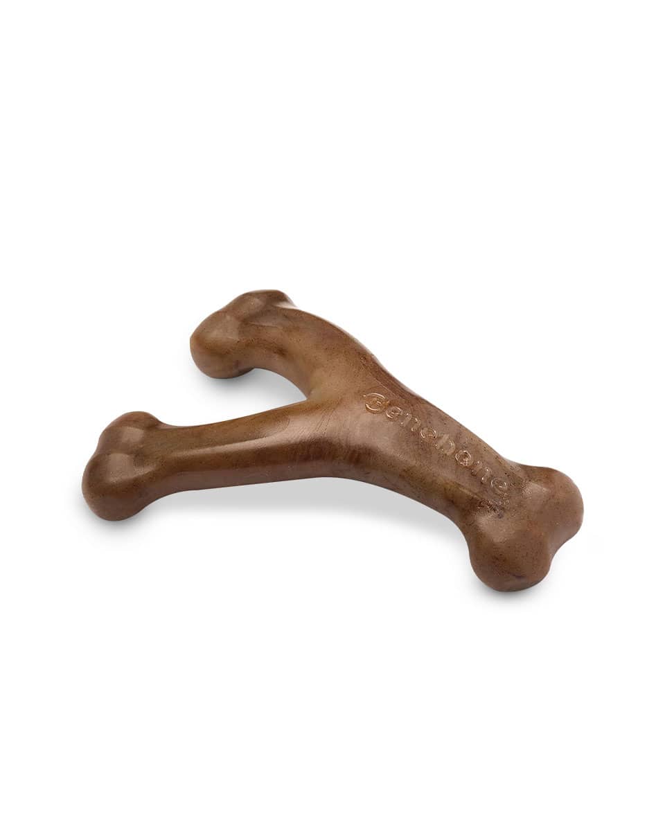 Benebone Wishbone durable dog toy