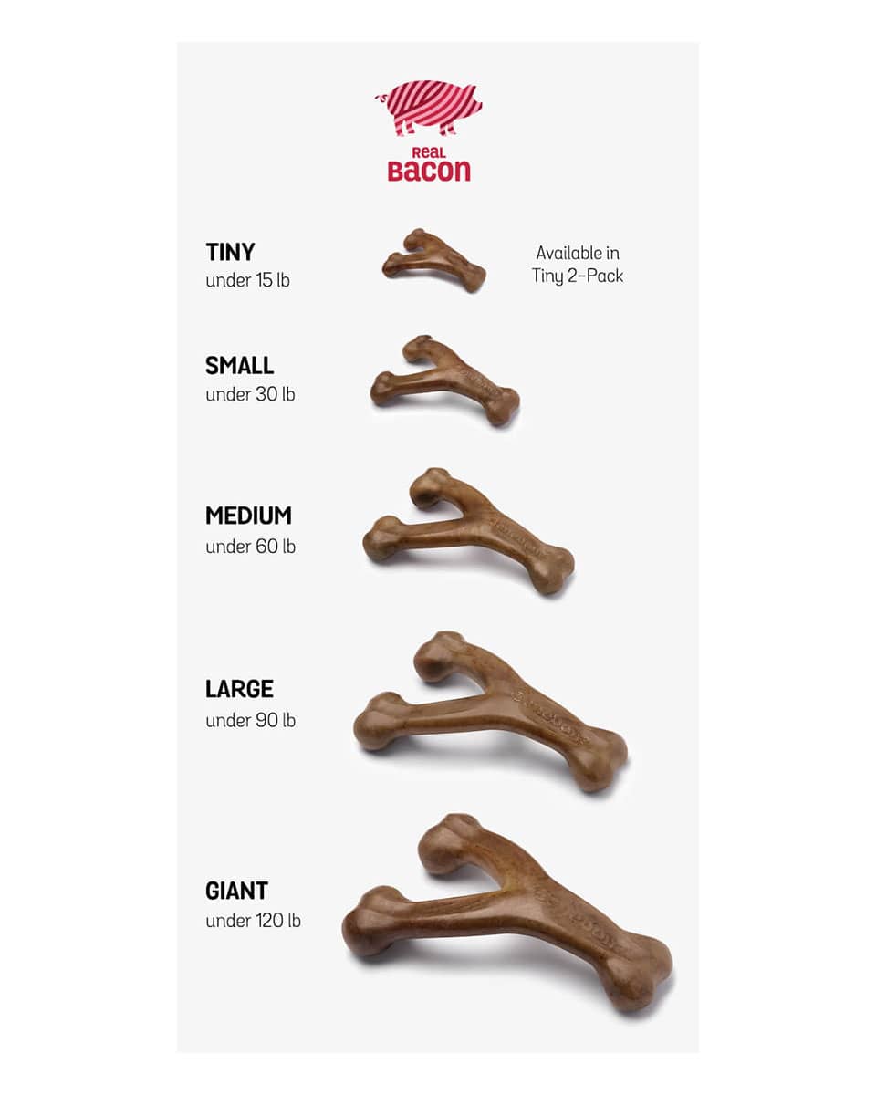 Benebone Wishbone durable dog toy