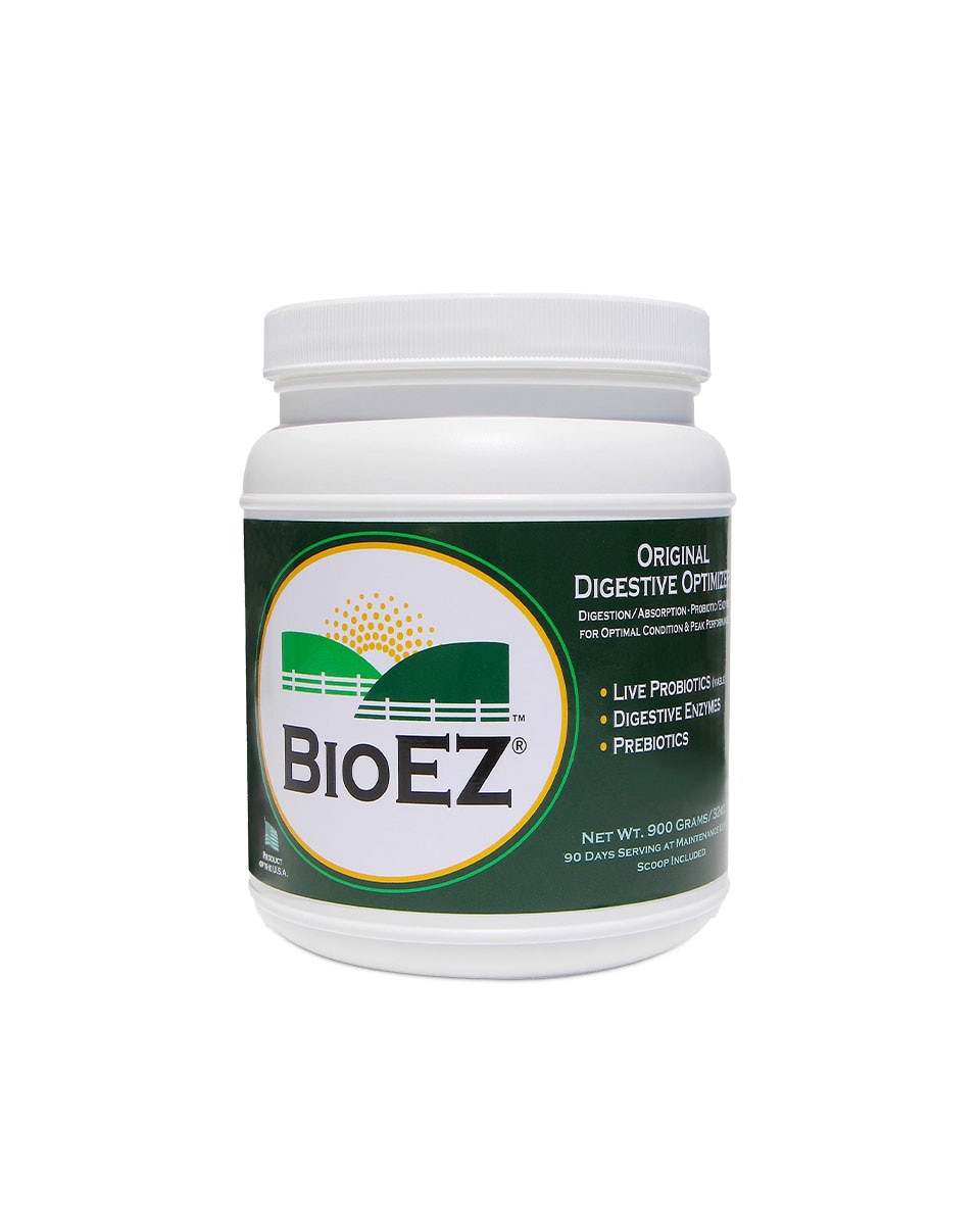 BioEZ Original Digestive Optimizer from Giddyap Girls