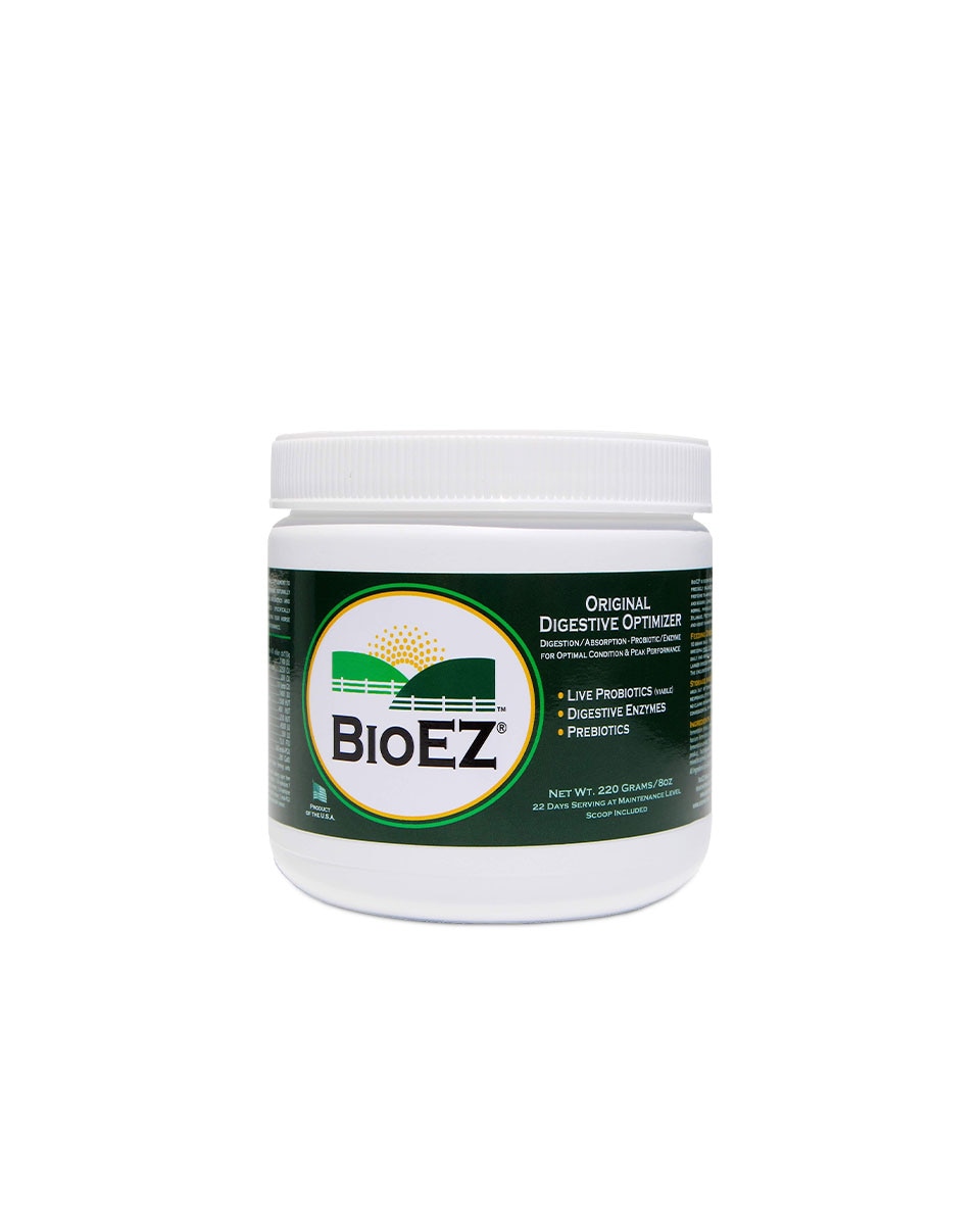 BioEZ Original Digestive Optimizer from Giddyap Girls