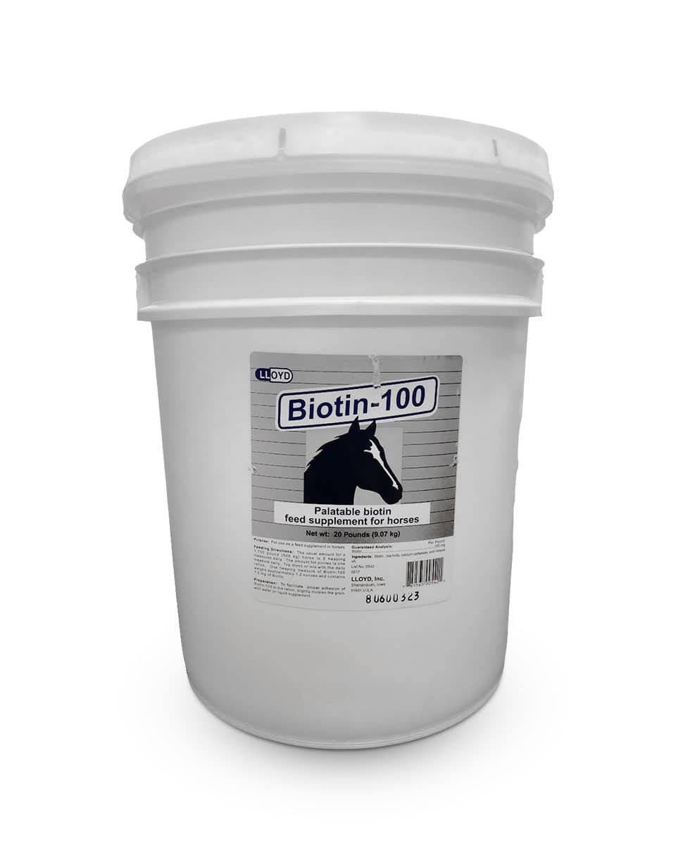 Biotin-100 Powder supplement for horses